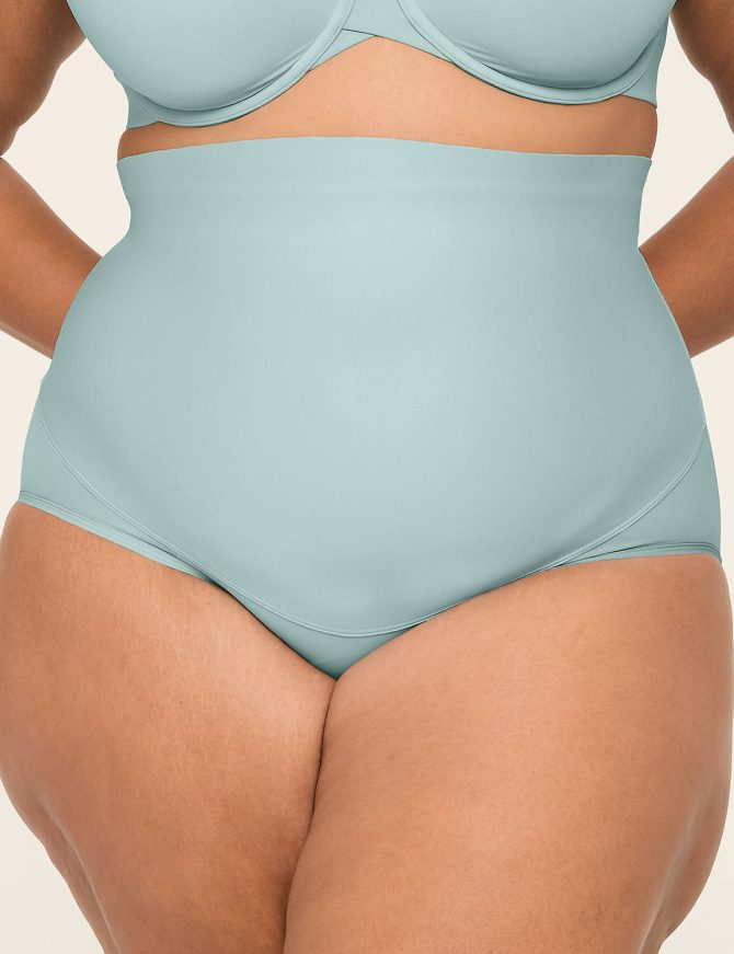 Level 2 Totally Smooth Ultra High-Waist Brief Panty - Image 5