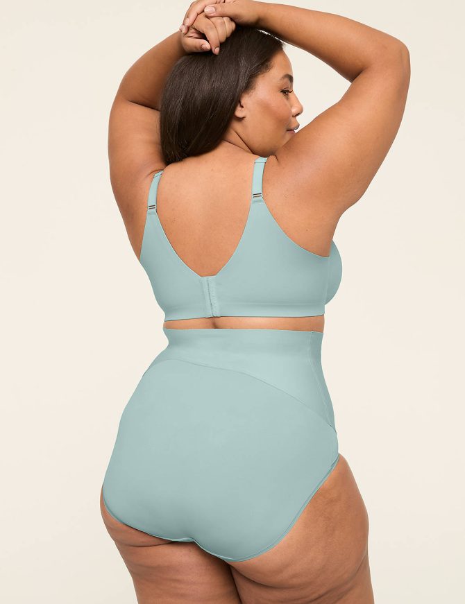 Level 2 Totally Smooth Ultra High-Waist Brief Panty - Image 6
