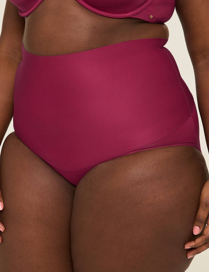 Level 2 Totally Smooth High-Waist Brief Panty - Image 3