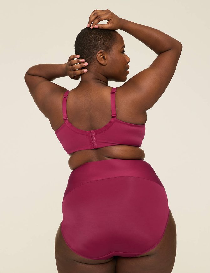 Level 2 Totally Smooth High-Waist Brief Panty - Image 4