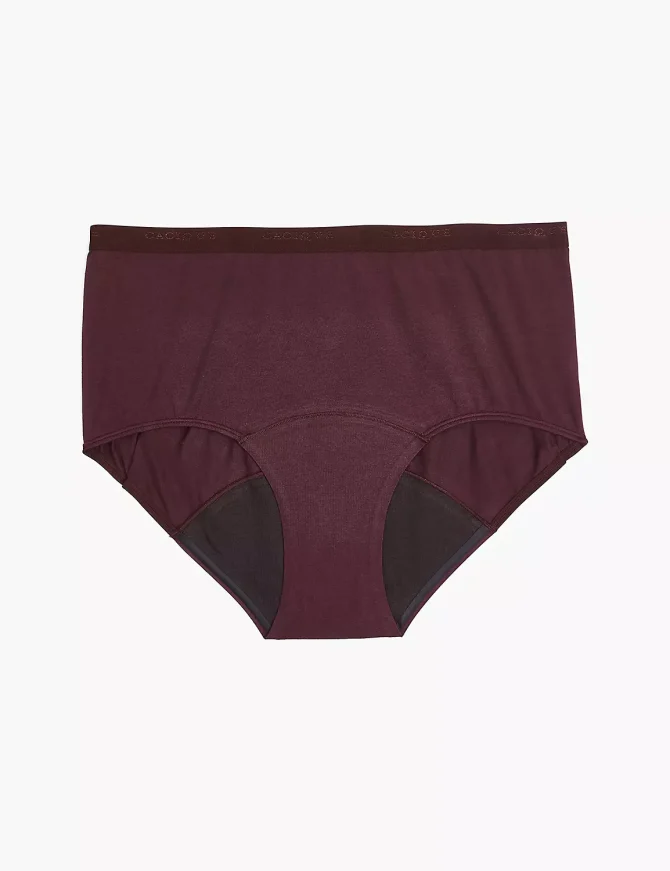Total Confidence Full Brief Panty
