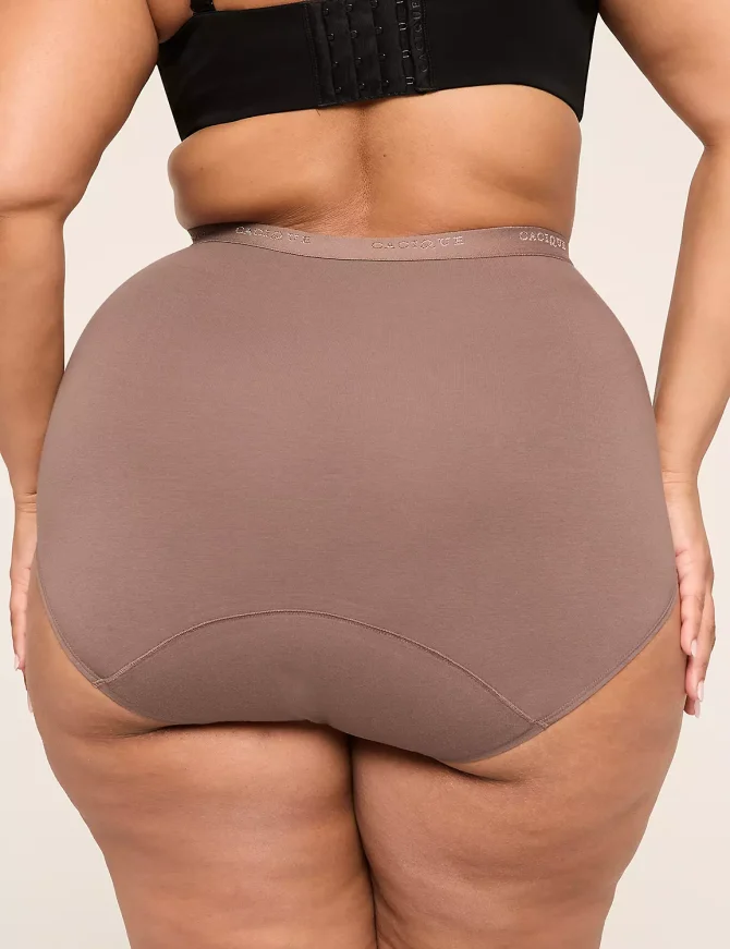 Total Confidence High Waist Brief Panty - Image 6