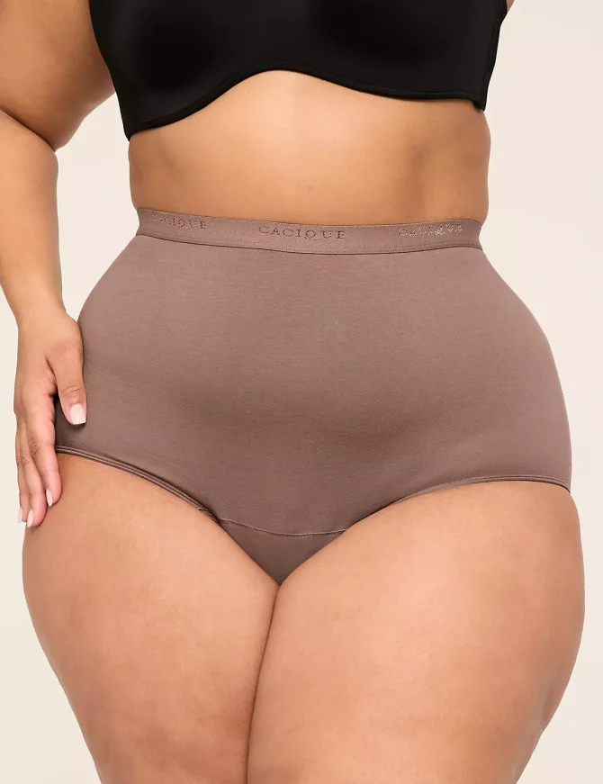 Total Confidence High Waist Brief Panty - Image 7
