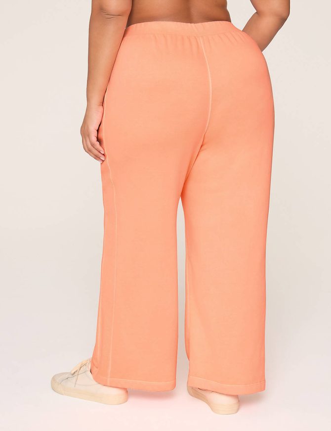 LIVI French Terry Relaxed Straight Pant - Image 2